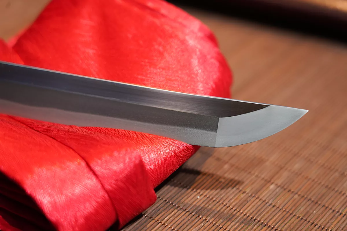 Tuoyuan Katana MKIII(Final Version) - Image 2