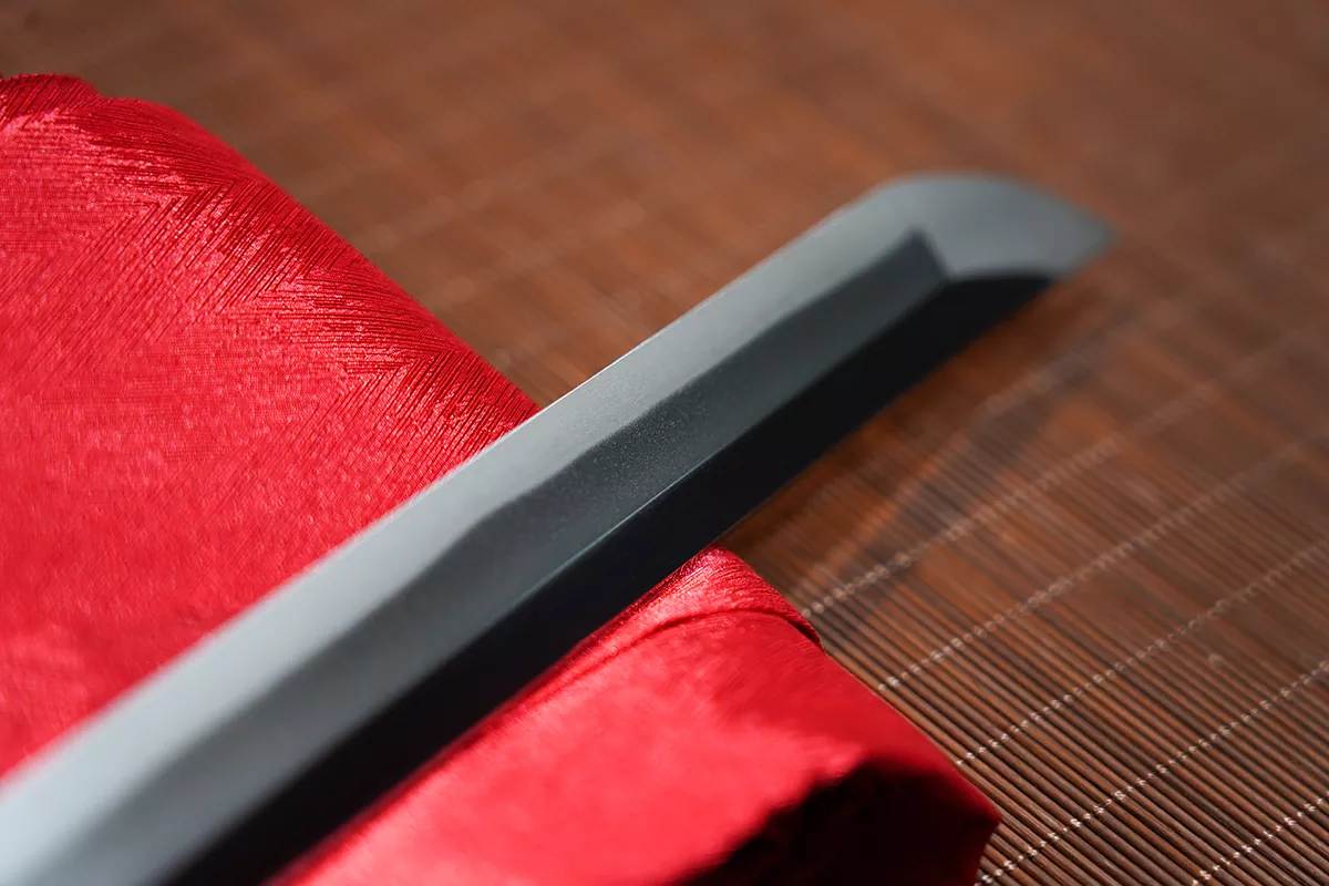 Tuoyuan Katana MKIII(Final Version) - Image 6